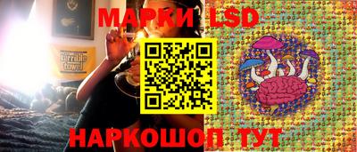 амф Обь