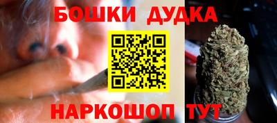 амф Обь